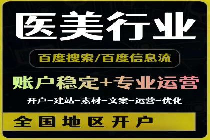 SEO策略在电商平台的成功应用案例